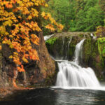 Best Fall Hikes in NW Oregon & SW Washington