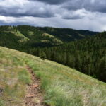 Chico Trail